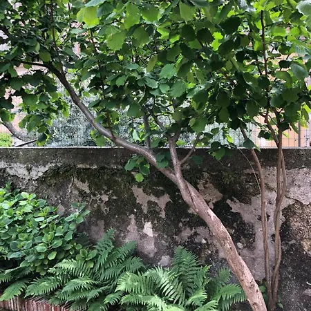 In Riva Al Di Iseo Residenza Primo Piano Apartment Marone