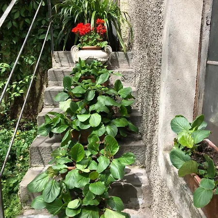 In Riva Al Di Iseo Residenza Primo Piano Apartment Marone
