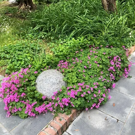 דירה In Riva Al Di Iseo Residenza Primo Piano *