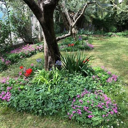 In Riva Al Di Iseo Residenza Primo Piano דירה *
