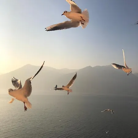 In Riva Al Di Iseo Residenza Primo Piano Marone