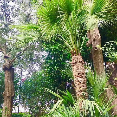 דירה In Riva Al Di Iseo Residenza Primo Piano מארונה